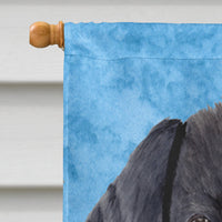 Labrador Flag Canvas House Size