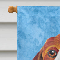 Beagle Flag Canvas House Size