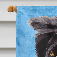 Border Collie Flag Canvas House Size