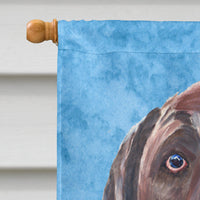 Labrador Flag Canvas House Size