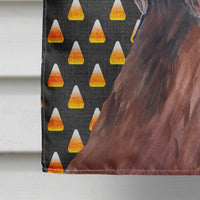 Labrador Chocolate Candy Corn Halloween Flag Canvas House Size