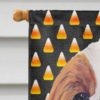 Cavalier Spaniel Blenheim Candy Corn Halloween Portrait Flag Canvas House Size