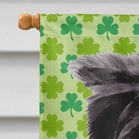 Border Collie St. Patrick's Day Shamrock Portrait Flag Canvas House Size