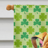 Bulldog English St. Patrick's Day Shamrock Flag Canvas House Size