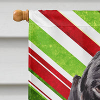 Dachshund Candy Cane Holiday Christmas Flag Canvas House Size