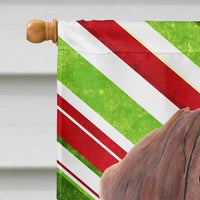 Dachshund Candy Cane Holiday Christmas Flag Canvas House Size