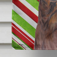 Dachshund Candy Cane Holiday Christmas Flag Canvas House Size