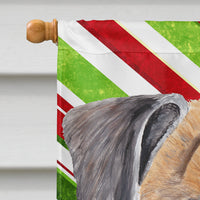 Boxer Candy Cane Holiday Christmas Flag Canvas House Size