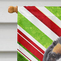 Cavalier Spaniel Candy Cane Holiday Christmas Flag Canvas House Size