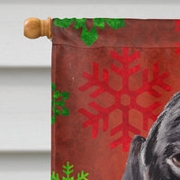 Dachshund Red Green Snowflake Holiday Christmas Flag Canvas House Size