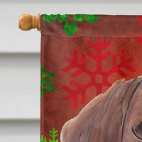 Dachshund Red Green Snowflake Holiday Christmas Flag Canvas House Size