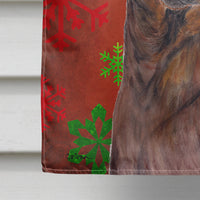 Dachshund Red Green Snowflake Holiday Christmas Flag Canvas House Size