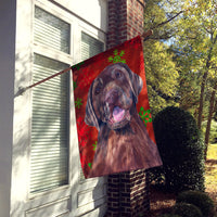 Labrador Red Green Snowflake Holiday Christmas Flag Canvas House Size