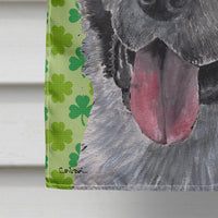 Akita St. Patrick's Day Shamrock Flag Canvas House Size SC9483CHF