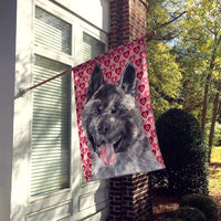 Akita Hearts Love and Valentine's Day Flag Canvas House Size SC9484CHF