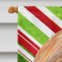 Afghan Hound Candy Cane Holiday Christmas Flag Canvas House Size SC9498CHF