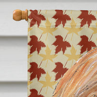 Afghan Hound Fall Leaves Flag Canvas House Size SC9504CHF