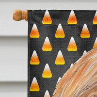 Afghan Hound Candy Corn Halloween Flag Canvas House Size SC9505CHF