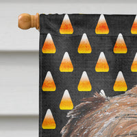 Brussels Griffon Halloween Candy Corn Flag Canvas House Size