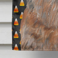 Brussels Griffon Halloween Candy Corn Flag Canvas House Size