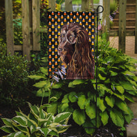 Boykin Spaniel Halloween Candy Corn Flag Garden Size