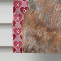 Brussels Griffon Valentine's Love Flag Canvas House Size