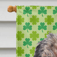 Border Terrier St Patrick's Irish Flag Canvas House Size