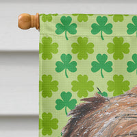 Brussels Griffon St Patrick's Irish Flag Canvas House Size