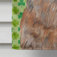 Brussels Griffon St Patrick's Irish Flag Canvas House Size