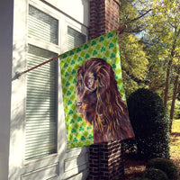 Boykin Spaniel St Patrick's Irish Flag Canvas House Size