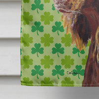 Boykin Spaniel St Patrick's Irish Flag Canvas House Size