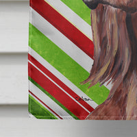 Irish Setter Candy Cane Christmas Flag Canvas House Size