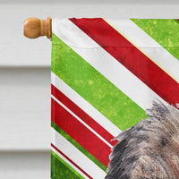 Border Terrier Candy Cane Christmas Flag Canvas House Size