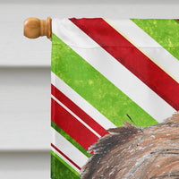 Brussels Griffon Candy Cane Christmas Flag Canvas House Size