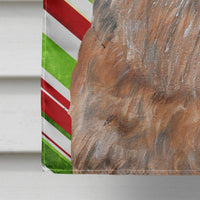 Brussels Griffon Candy Cane Christmas Flag Canvas House Size