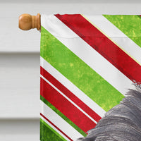 Brussels Griffon Candy Cane Christmas Flag Canvas House Size