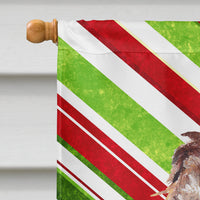 Boykin Spaniel Candy Cane Christmas Flag Canvas House Size