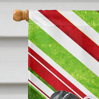 Chinese Crested Candy Cane Christmas Flag Canvas House Size