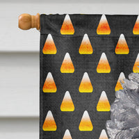 Black Standard Poodle Candy Corn Halloween Flag Canvas House Size SC9650CHF