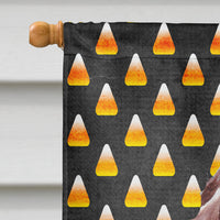 Redbone Coonhound Candy Corn Halloween Flag Canvas House Size SC9659CHF