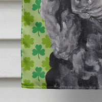 Black Standard Poodle Lucky Shamrock St. Patrick's Day Flag Canvas House Size SC9722CHF