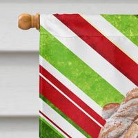 Shar Pei Candy Cane Christmas Flag Canvas House Size SC9791CHF