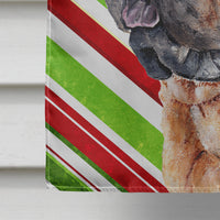 Shar Pei Candy Cane Christmas Flag Canvas House Size SC9791CHF