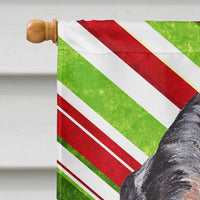 Blue Tick Coonhound Candy Cane Christmas Flag Canvas House Size SC9793CHF