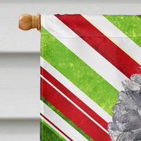 Black Standard Poodle Candy Cane Christmas Flag Canvas House Size SC9794CHF