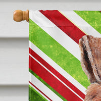 Wire Fox Terrier Candy Cane Christmas Flag Canvas House Size SC9796CHF