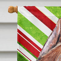 Staffordshire Bull Terrier Staffie Candy Cane Christmas Flag Canvas House Size SC9800CHF