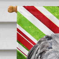 Scottish Deerhound Candy Cane Christmas Flag Canvas House Size SC9802CHF