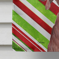 Redbone Coonhound Candy Cane Christmas Flag Canvas House Size SC9803CHF