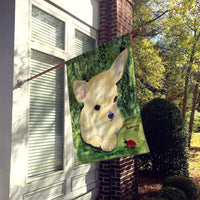 Chihuahua Flag Canvas House Size